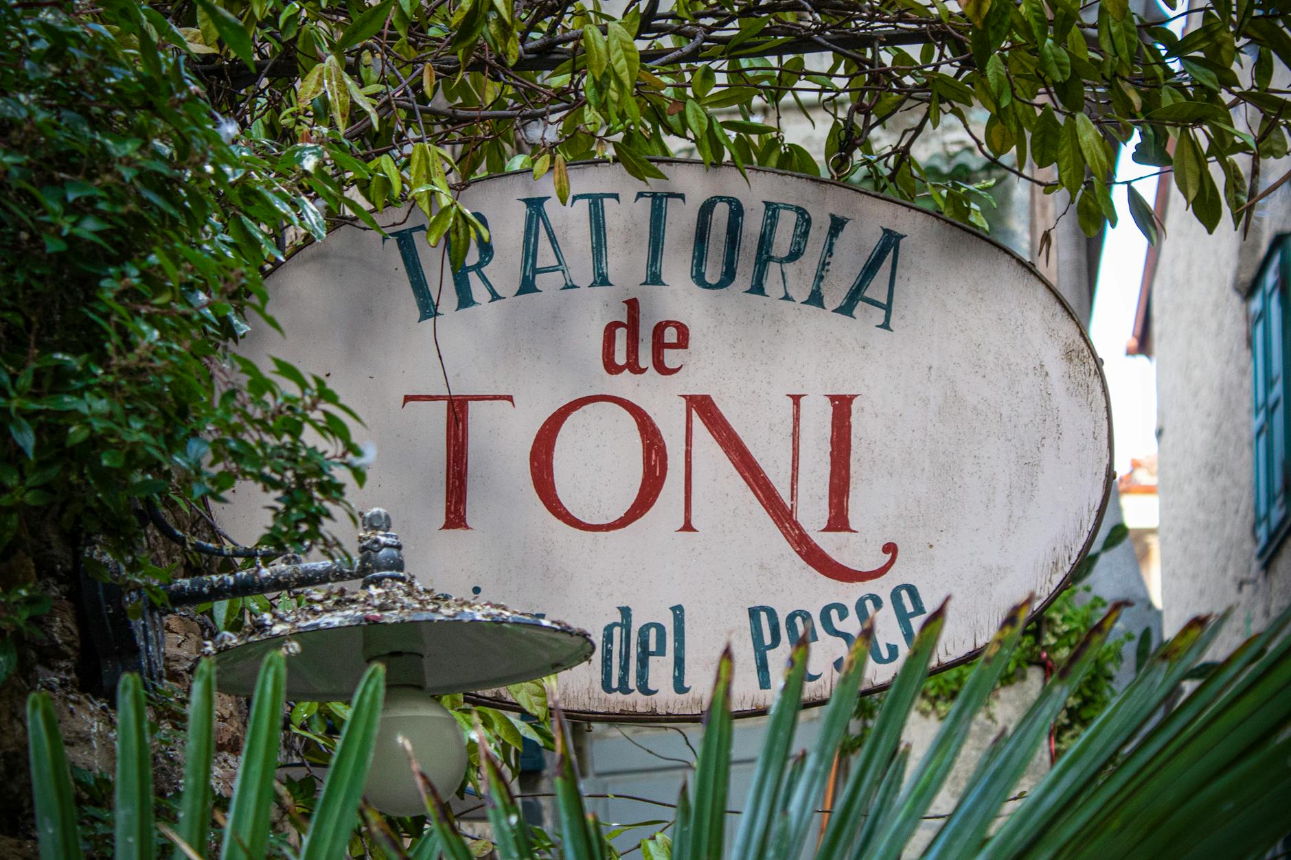 Holzofen-Pizza frisch aus dem Feuer